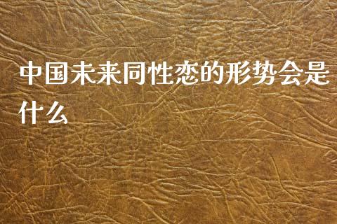 中国未来同性恋的形势会是什么_https://wap.sdyuehang.cn_美股行情_第1张