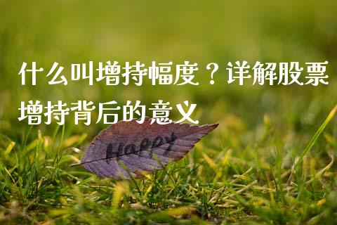 什么叫增持幅度？详解股票增持背后的意义_https://wap.sdyuehang.cn_产经新闻_第1张