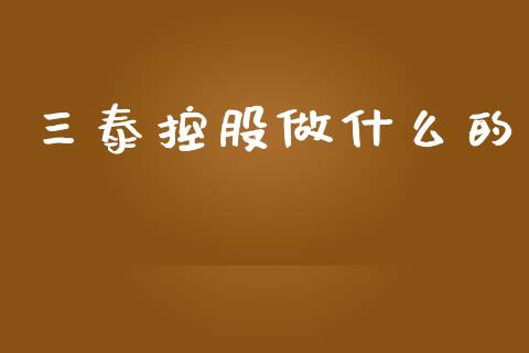 三泰控股做什么的_https://wap.sdyuehang.cn_债券资讯_第1张