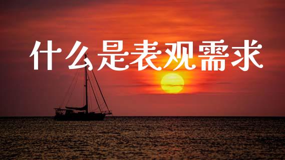 什么是表观需求_https://wap.sdyuehang.cn_美股行情_第1张