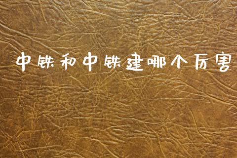 中铁和中铁建哪个厉害_https://wap.sdyuehang.cn_产经新闻_第1张