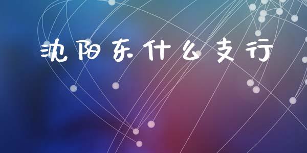沈阳东什么支行_https://wap.sdyuehang.cn_债券资讯_第1张