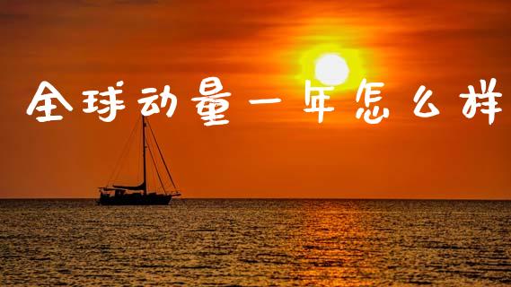 全球动量一年怎么样_https://wap.sdyuehang.cn_新股申购_第1张