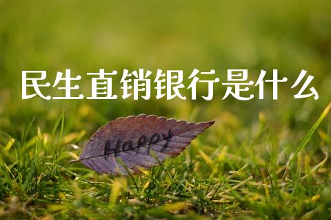 民生直销银行是什么_https://wap.sdyuehang.cn_美股行情_第1张