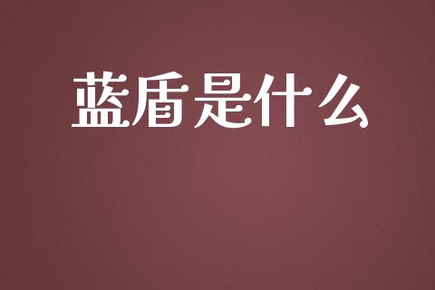 蓝盾是什么_https://wap.sdyuehang.cn_新股申购_第1张