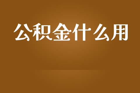 公积金什么用_https://wap.sdyuehang.cn_债券资讯_第1张