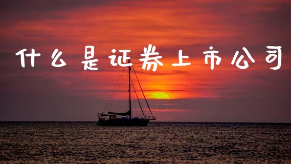 什么是证券上市公司_https://wap.sdyuehang.cn_债券资讯_第1张