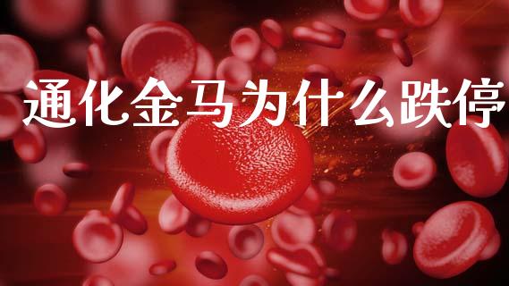 通化金马为什么跌停_https://wap.sdyuehang.cn_债券资讯_第1张