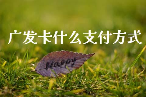 广发卡什么支付方式_https://wap.sdyuehang.cn_美股行情_第1张