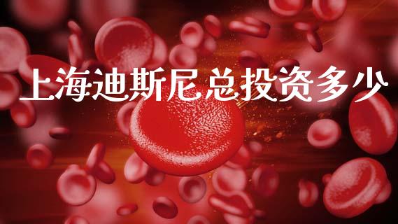 上海迪斯尼总投资多少_https://wap.sdyuehang.cn_新股申购_第1张