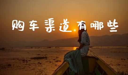 购车渠道有哪些_https://wap.sdyuehang.cn_美股行情_第1张