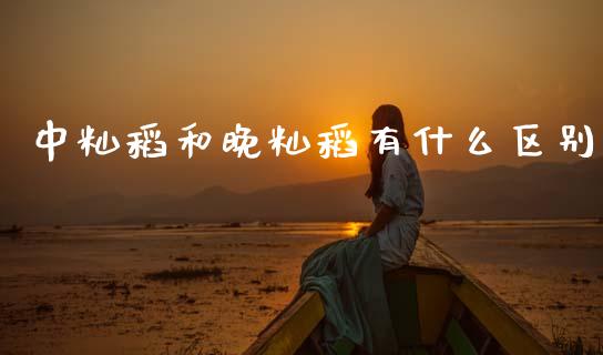 中籼稻和晚籼稻有什么区别_https://wap.sdyuehang.cn_债券资讯_第1张