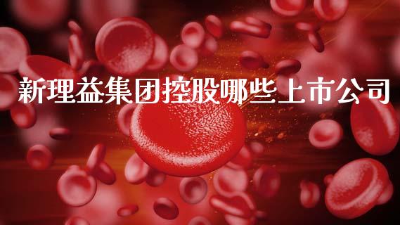 新理益集团控股哪些上市公司_https://wap.sdyuehang.cn_债券资讯_第1张