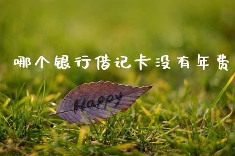 哪个银行借记卡没有年费_https://wap.sdyuehang.cn_新股申购_第1张
