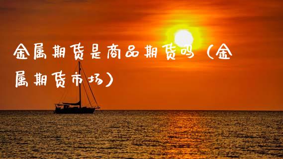 金属期货是商品期货吗（金属期货市场）_https://wap.sdyuehang.cn_债券资讯_第1张