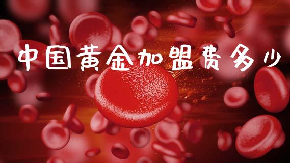 中国黄金加盟费多少_https://wap.sdyuehang.cn_债券资讯_第1张