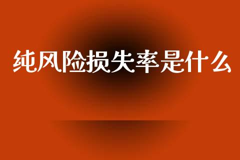 纯风险损失率是什么_https://wap.sdyuehang.cn_债券资讯_第1张
