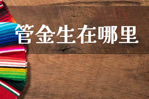 管金生在哪里_https://wap.sdyuehang.cn_美股行情_第1张