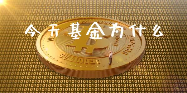 今天基金为什么_https://wap.sdyuehang.cn_美股行情_第1张