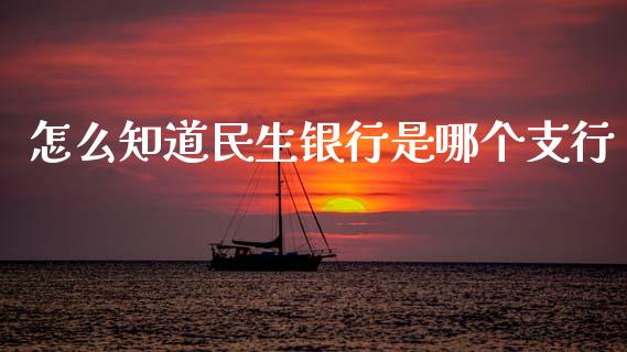 怎么知道民生银行是哪个支行_https://wap.sdyuehang.cn_产经新闻_第1张