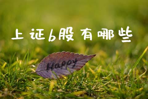 上证b股有哪些_https://wap.sdyuehang.cn_债券资讯_第1张