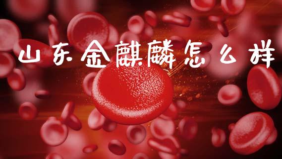 山东金麒麟怎么样_产经新闻_第1张_产经新闻_债券资讯_新股申购_美股行情 山东金麒麟怎么样_https://wap.sdyuehang.cn_产经新闻_第1张