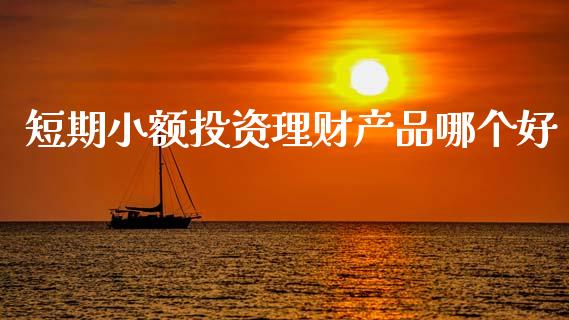 短期小额投资理财产品哪个好_https://wap.sdyuehang.cn_美股行情_第1张