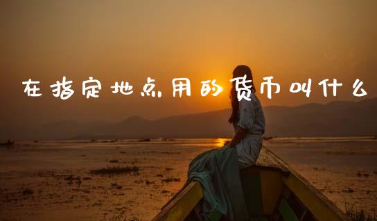 在指定地点用的货币叫什么_https://wap.sdyuehang.cn_债券资讯_第1张