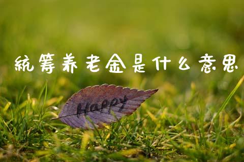 统筹养老金是什么意思_https://wap.sdyuehang.cn_美股行情_第1张
