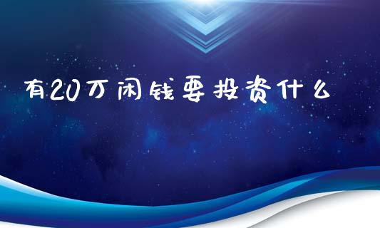 有20万闲钱要投资什么_https://wap.sdyuehang.cn_债券资讯_第1张