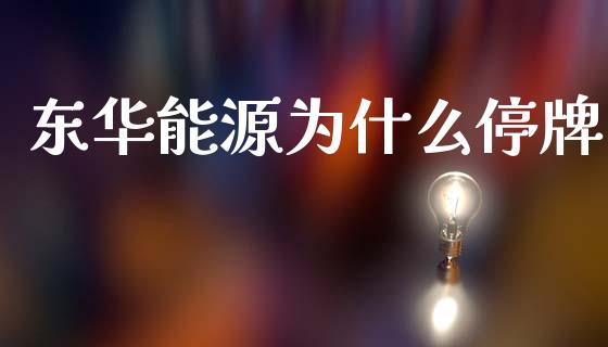 东华能源为什么停牌_https://wap.sdyuehang.cn_美股行情_第1张