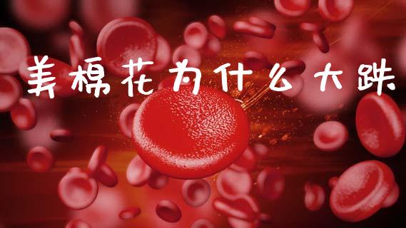 美棉花为什么大跌_https://wap.sdyuehang.cn_产经新闻_第1张