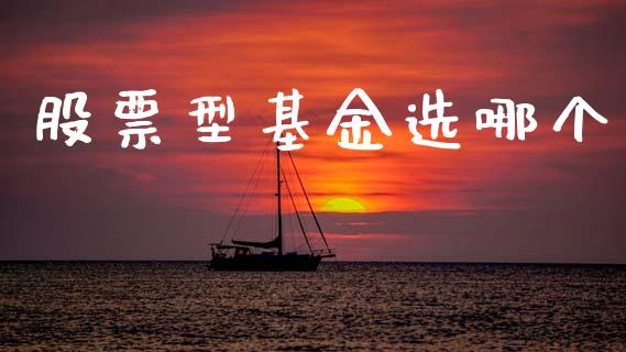 股票型基金选哪个_https://wap.sdyuehang.cn_产经新闻_第1张