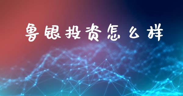 鲁银投资怎么样_https://wap.sdyuehang.cn_美股行情_第1张