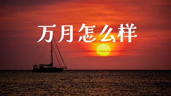 万月怎么样_https://wap.sdyuehang.cn_债券资讯_第1张