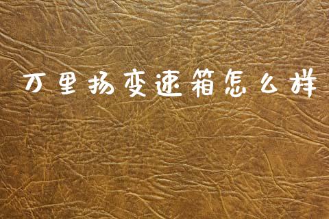 万里扬变速箱怎么样_https://wap.sdyuehang.cn_债券资讯_第1张