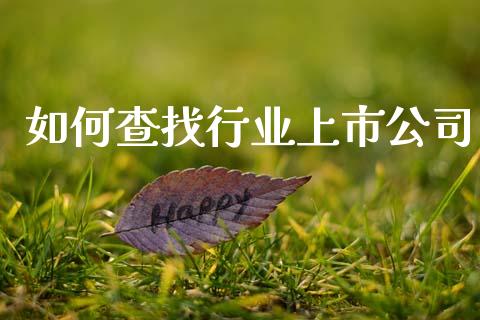 如何查找行业上市公司_https://wap.sdyuehang.cn_产经新闻_第1张