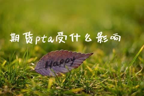 期货pta受什么影响_美股行情_第1张_产经新闻_债券资讯_新股申购_美股行情 期货pta受什么影响_https://wap.sdyuehang.cn_美股行情_第1张