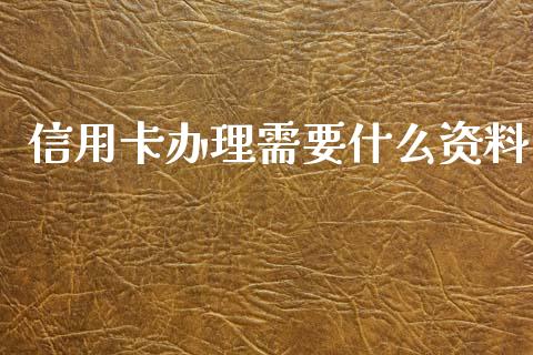 信用卡办理需要什么资料_https://wap.sdyuehang.cn_美股行情_第1张