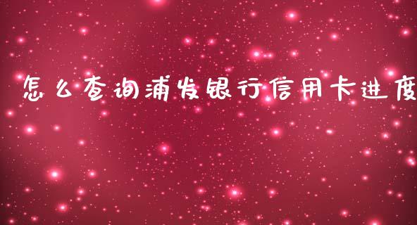怎么查询浦发银行信用卡进度_https://wap.sdyuehang.cn_美股行情_第1张