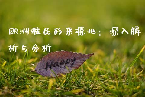 欧洲难民的来源地：深入解析与分析_https://wap.sdyuehang.cn_新股申购_第1张