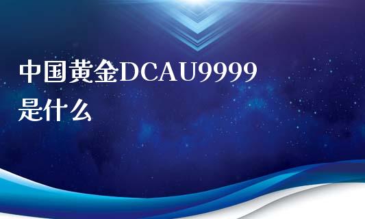 中国黄金DCAU9999是什么_https://wap.sdyuehang.cn_美股行情_第1张