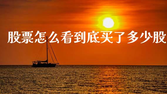 股票怎么看到底买了多少股_https://wap.sdyuehang.cn_产经新闻_第1张