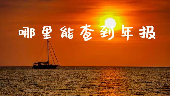 哪里能查到年报_https://wap.sdyuehang.cn_新股申购_第1张