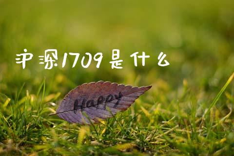 沪深1709是什么_https://wap.sdyuehang.cn_产经新闻_第1张