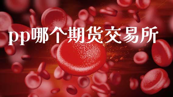 pp哪个期货交易所_https://wap.sdyuehang.cn_债券资讯_第1张