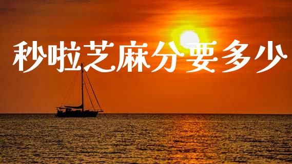 秒啦芝麻分要多少_https://wap.sdyuehang.cn_美股行情_第1张