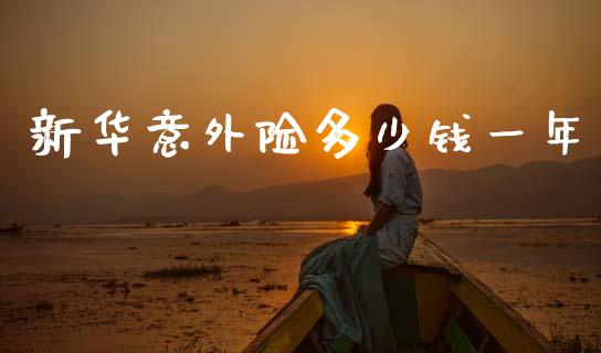 新华意外险多少钱一年_https://wap.sdyuehang.cn_新股申购_第1张