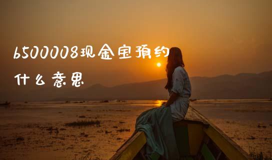 b500008现金宝预约什么意思_https://wap.sdyuehang.cn_债券资讯_第1张
