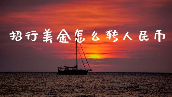 招行美金怎么转人民币_https://wap.sdyuehang.cn_美股行情_第1张